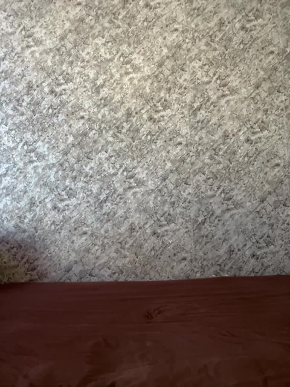 View or download file vii_vii_vii on 2023-10-04 from bongacams