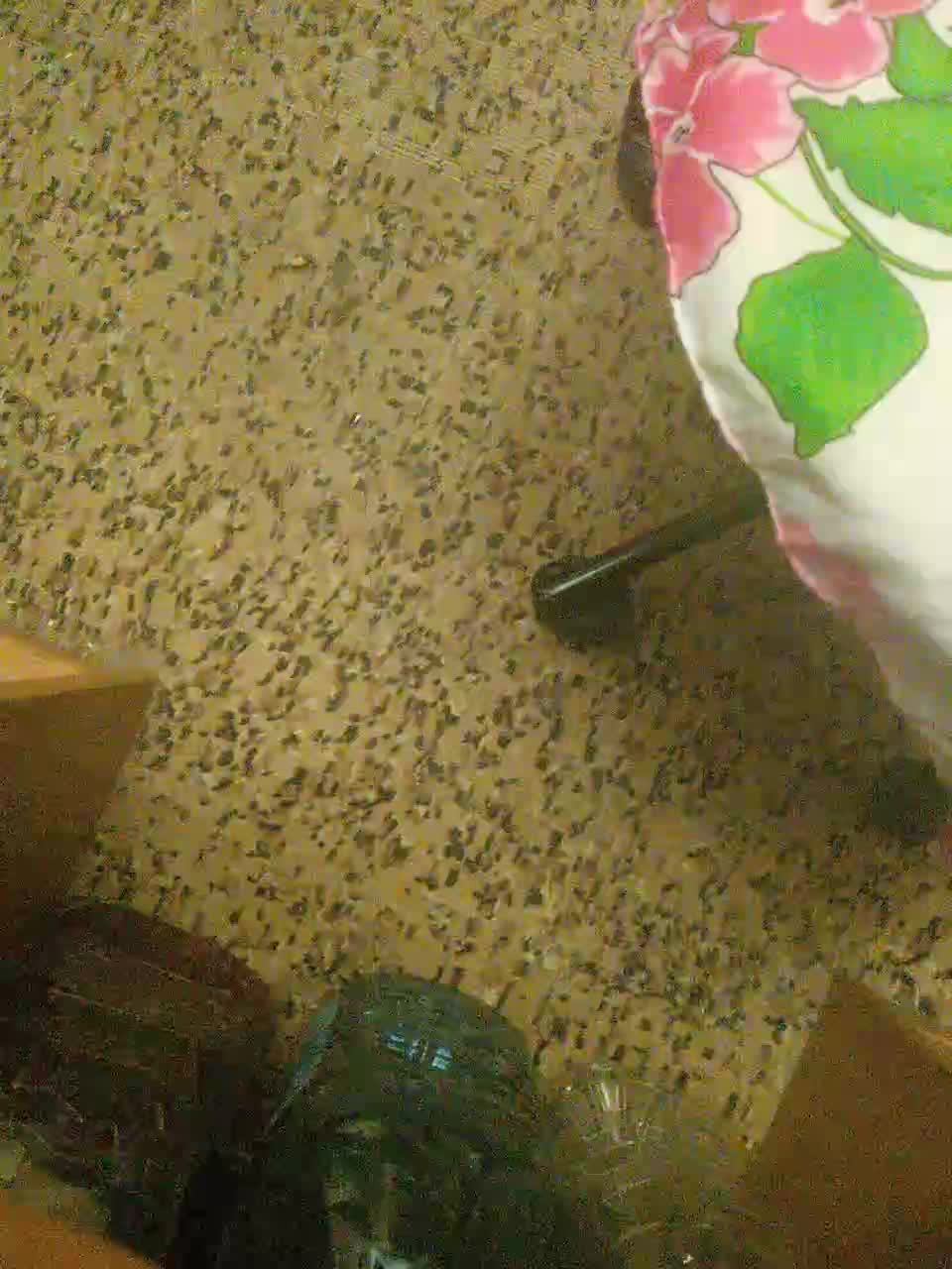 View or download file julia0114 on 2023-10-05 from bongacams