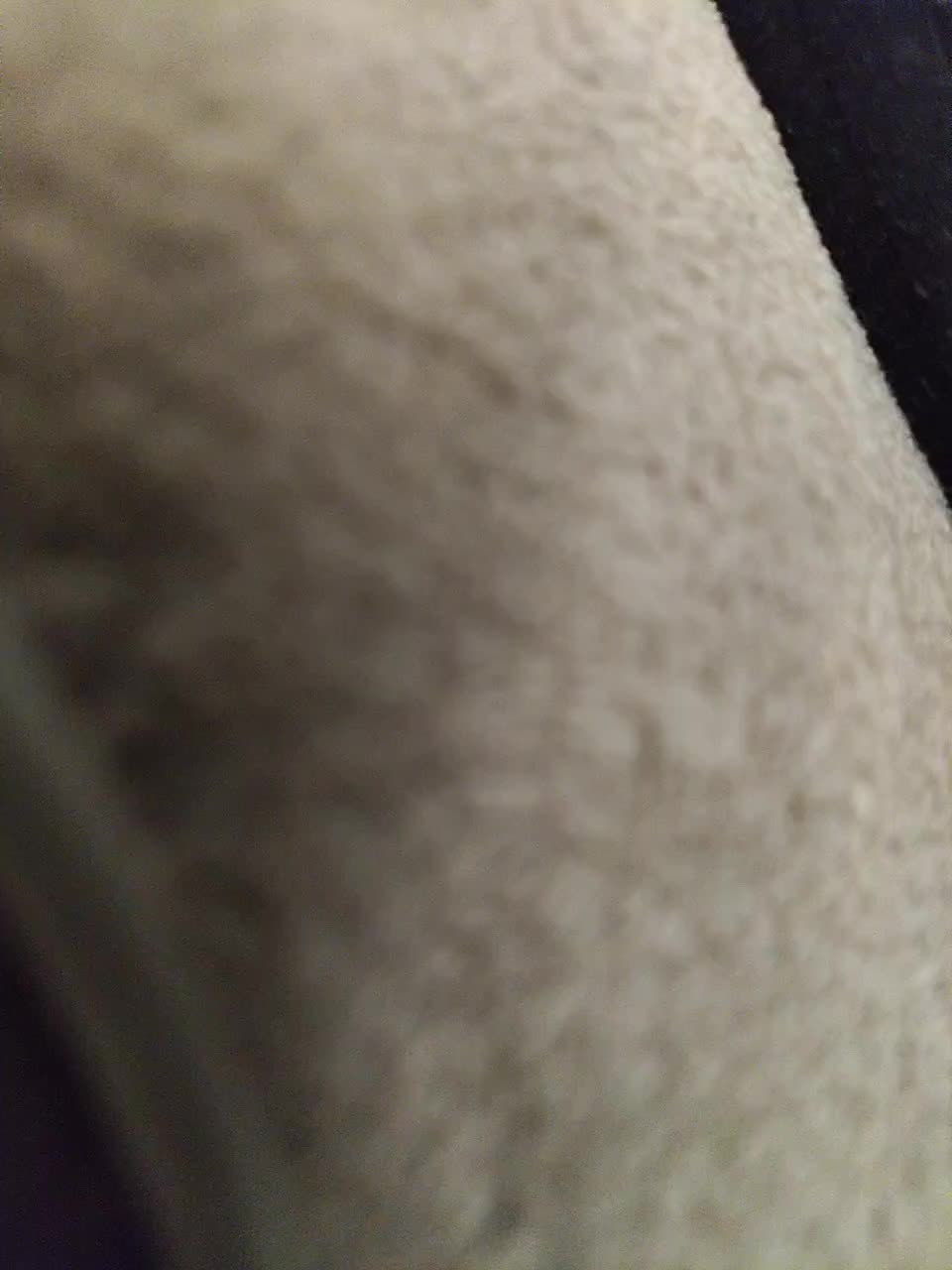 View or download file ds1002 on 2023-10-06 from bongacams