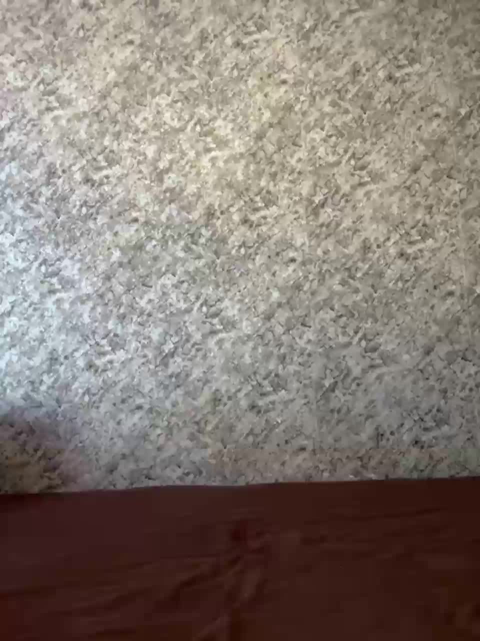 View or download file vii_vii_vii on 2023-10-07 from bongacams