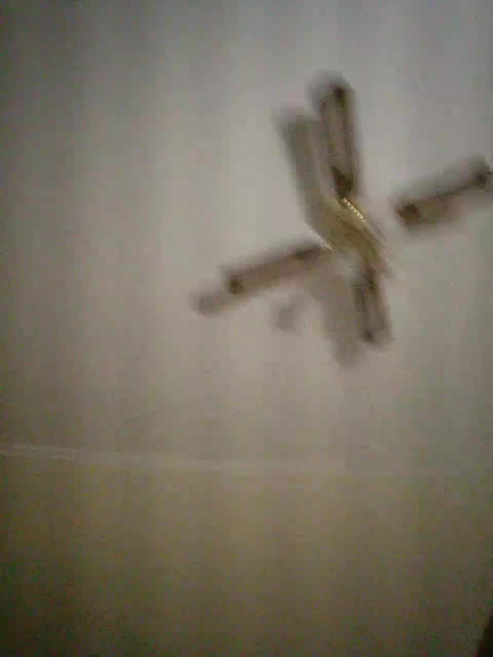 View or download file laef1881 on 2023-10-08 from bongacams