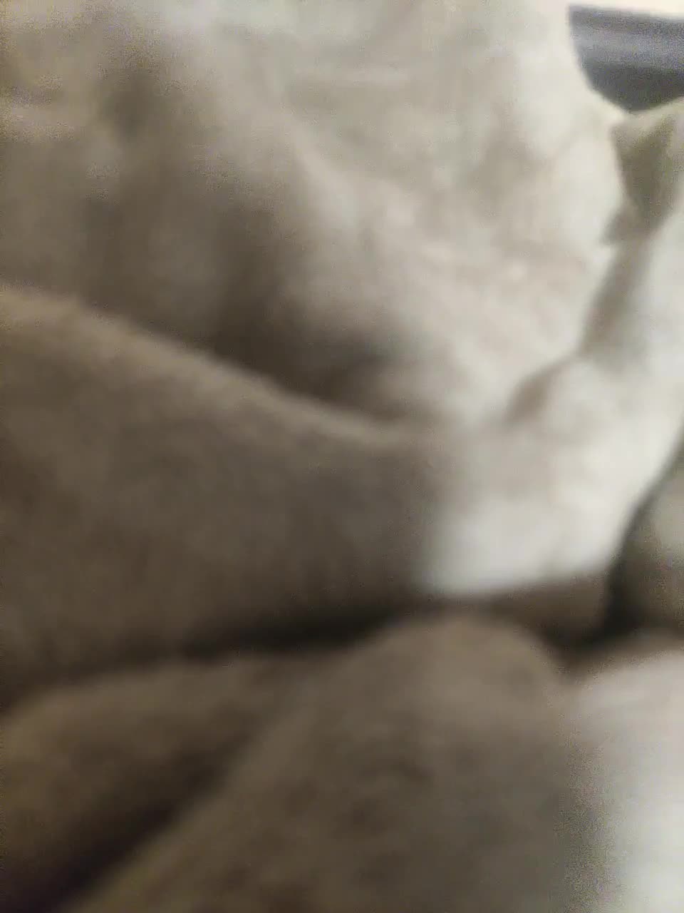 View or download file ds1002 on 2023-10-10 from bongacams