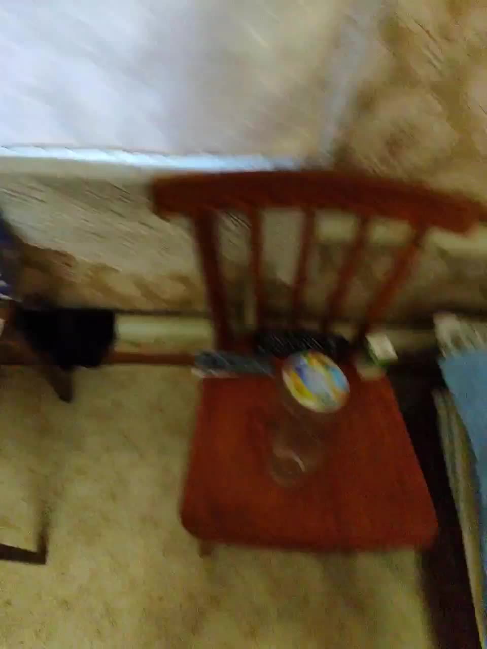 View or download file super_couple on 2023-10-10 from bongacams