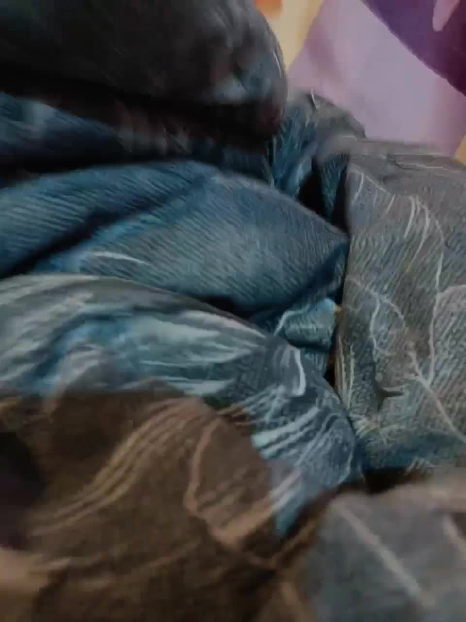 View or download file lisavsvolk on 2023-10-13 from bongacams