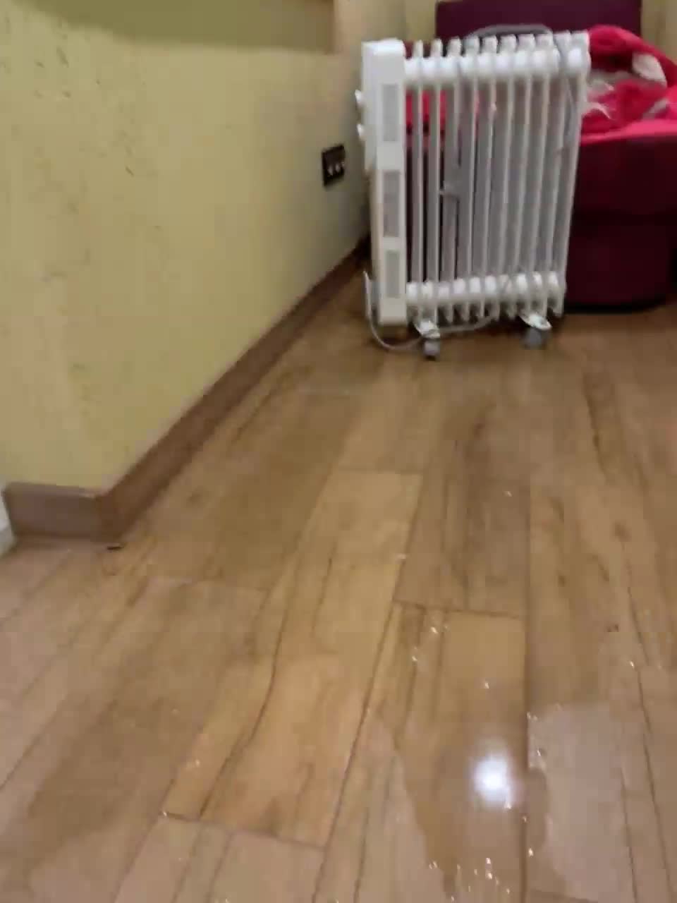 View or download file essexxs on 2023-10-15 from bongacams