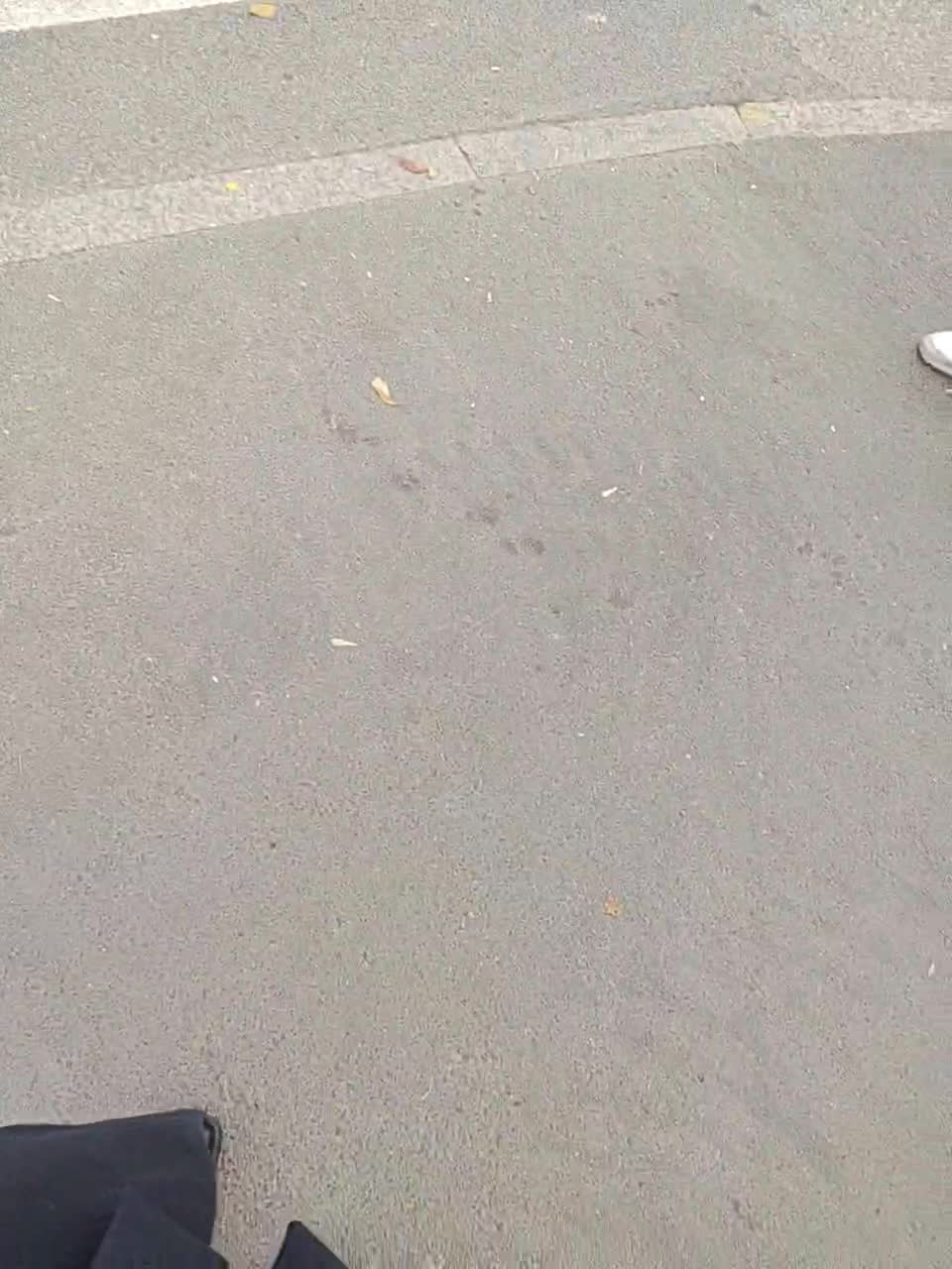 View or download file kitsune_alice on 2023-10-15 from bongacams