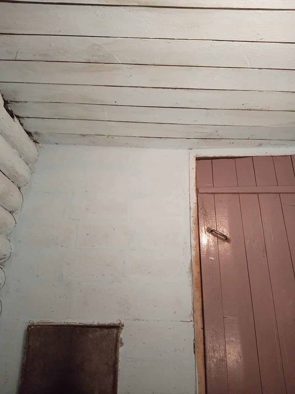 View or download file mussypussy222 on 2023-10-15 from bongacams