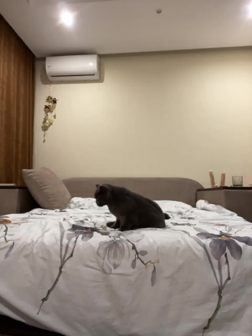 View or download file premierleague on 2023-10-15 from bongacams