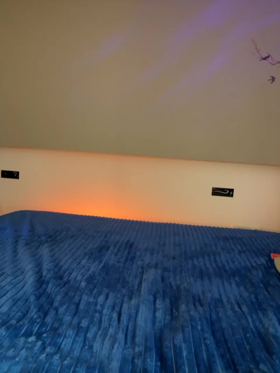 View or download file bloomjuliette on 2023-10-20 from bongacams