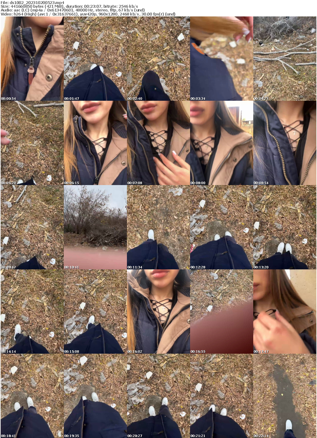 Preview thumb from ds1002 on 2023-10-20 @ bongacams