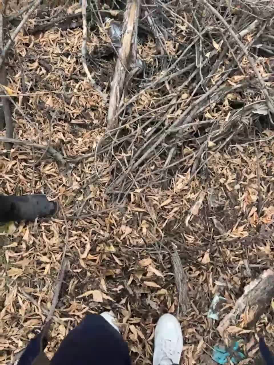 View or download file ds1002 on 2023-10-20 from bongacams