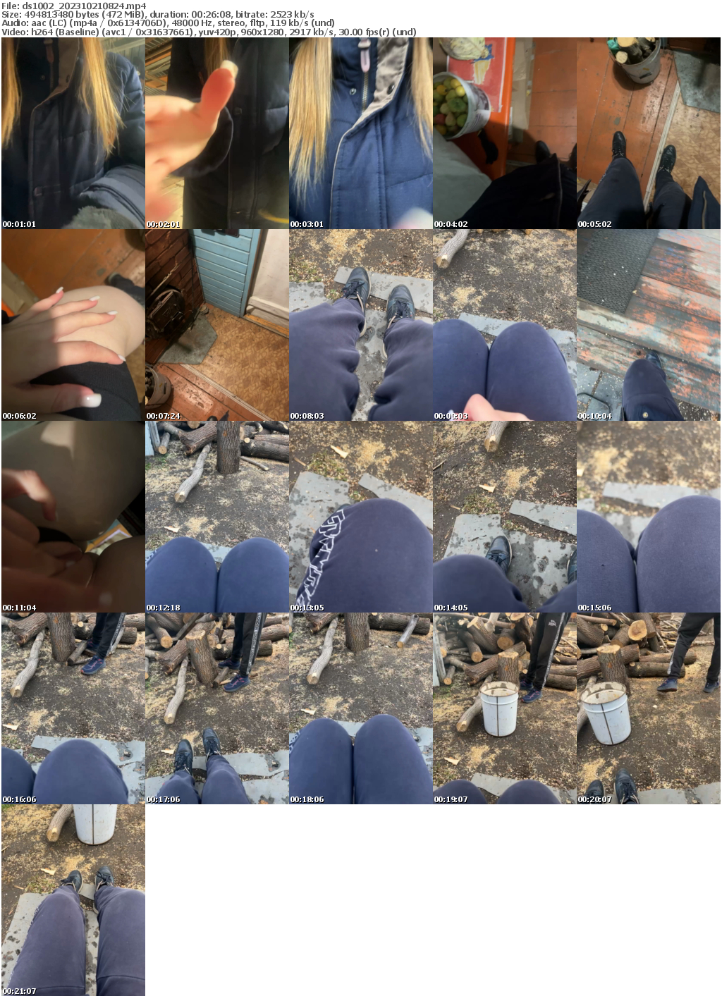 Preview thumb from ds1002 on 2023-10-21 @ bongacams