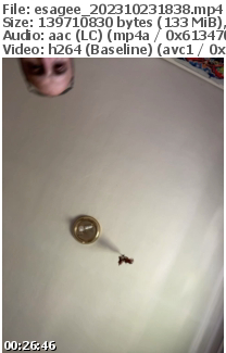 Preview thumb from esagee on 2023-10-23 @ bongacams