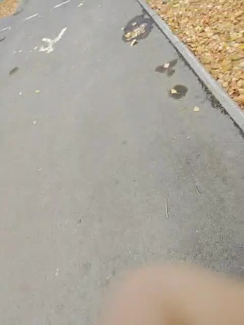 View or download file kitsune_alice on 2023-10-23 from bongacams