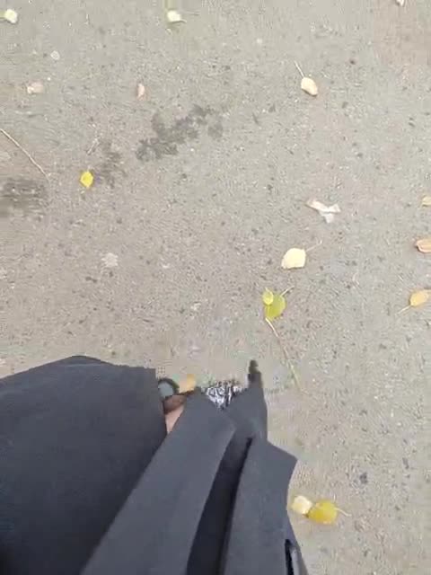 View or download file kitsune_alice on 2023-10-23 from bongacams