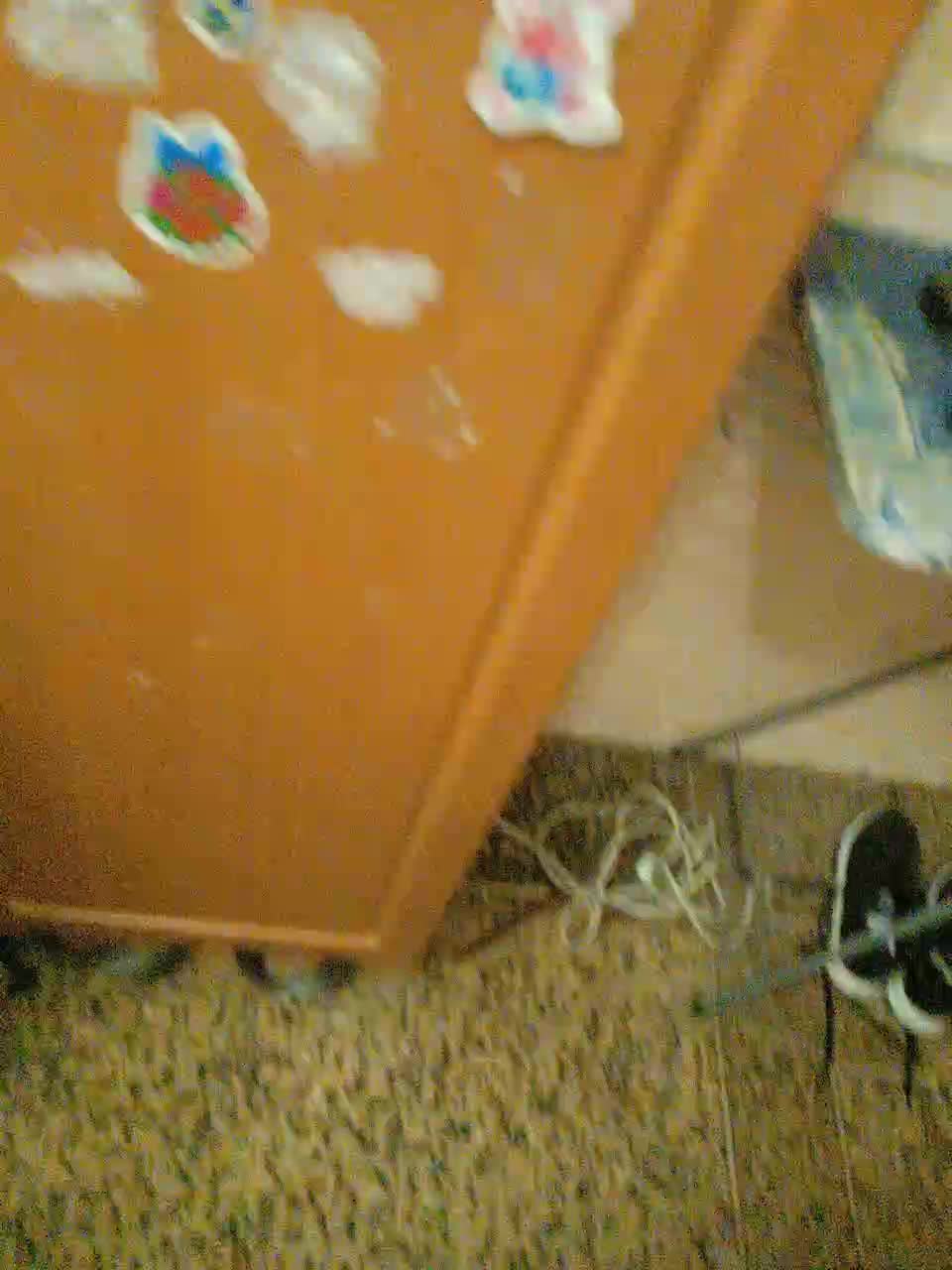 View or download file julia0114 on 2023-10-25 from bongacams