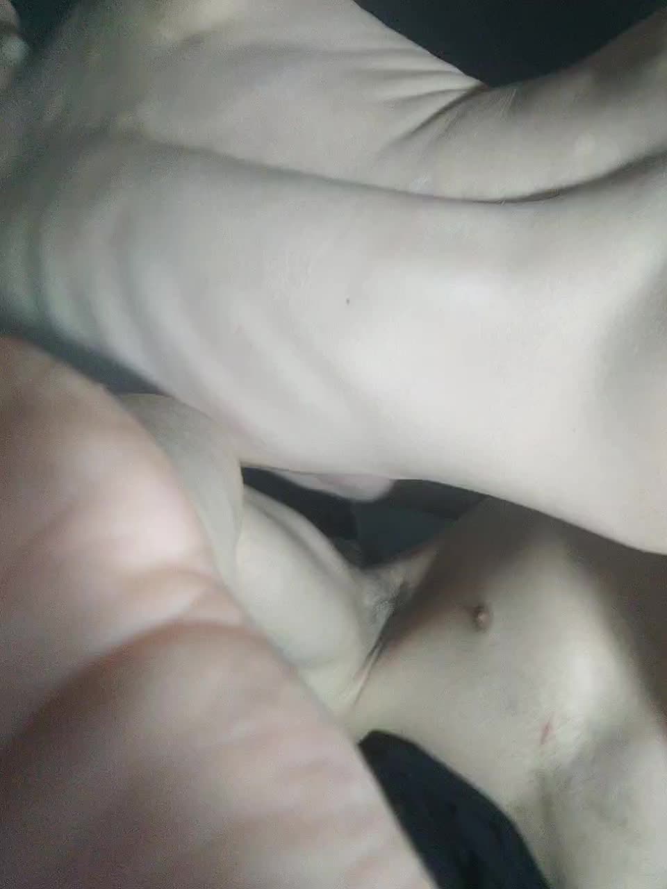 View or download file johnyfenomet2 on 2023-10-26 from bongacams