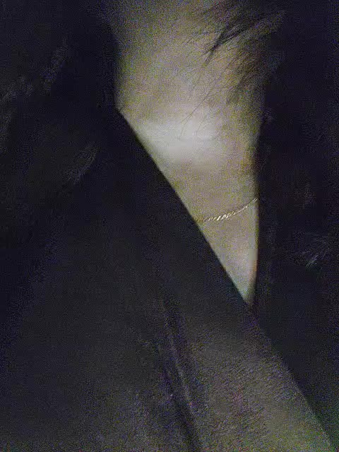 View or download file solnichko_1 on 2023-10-26 from bongacams