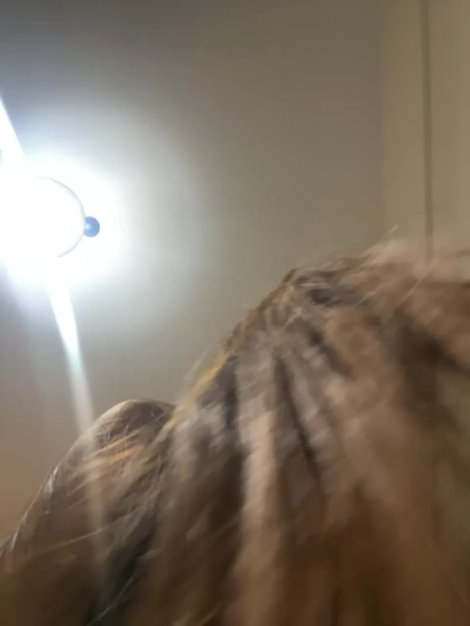 View or download file syka001 on 2023-10-26 from bongacams