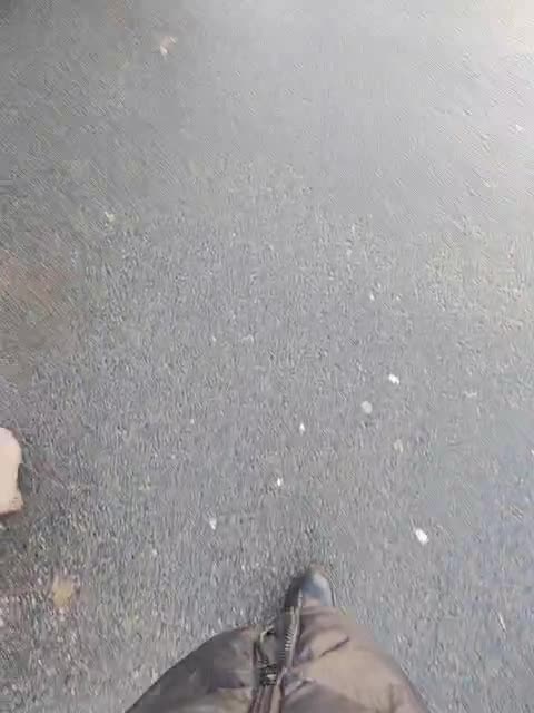 View or download file kitsune_alice on 2023-10-28 from bongacams