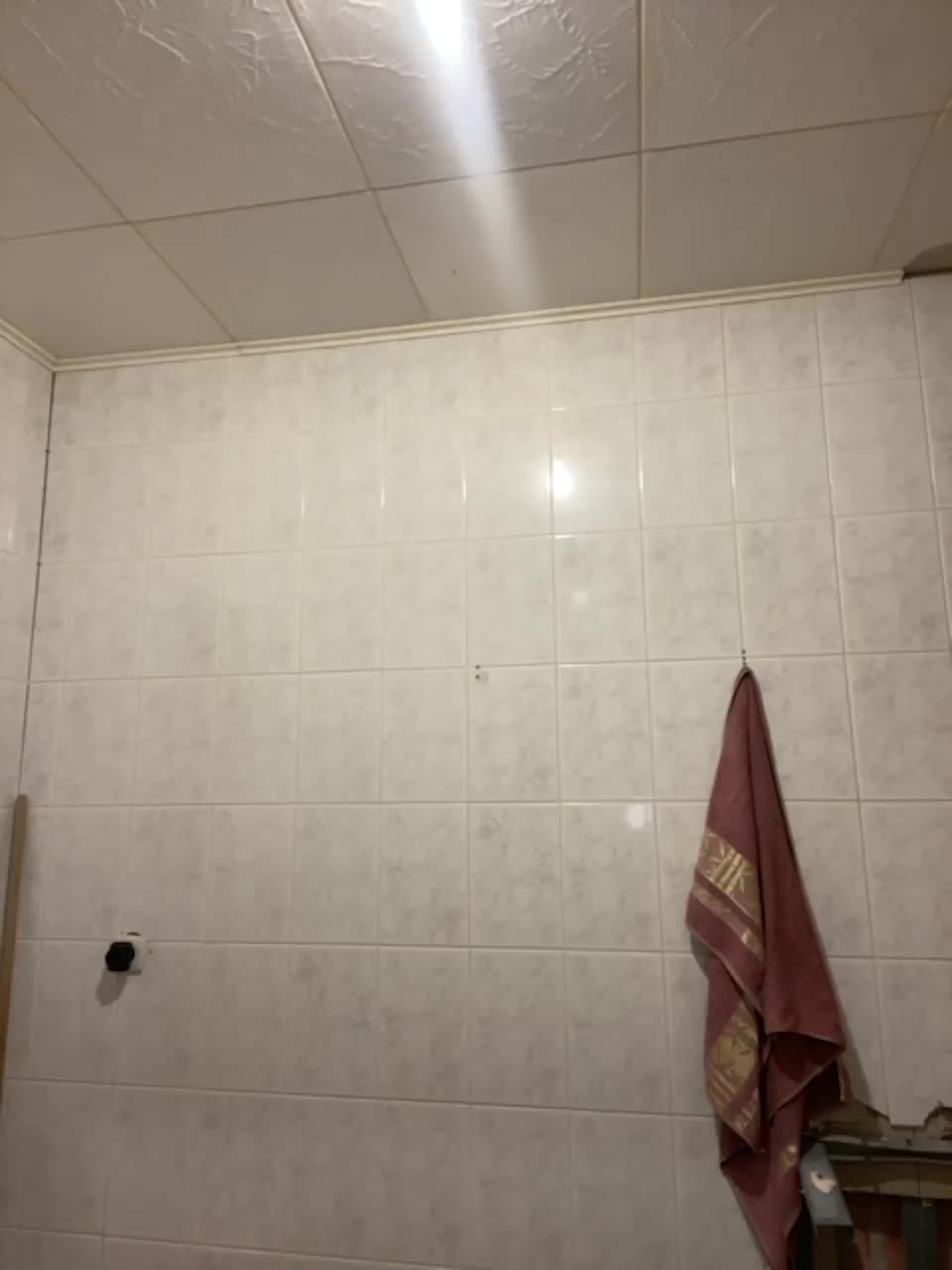 View or download file mossipolli on 2023-10-31 from bongacams