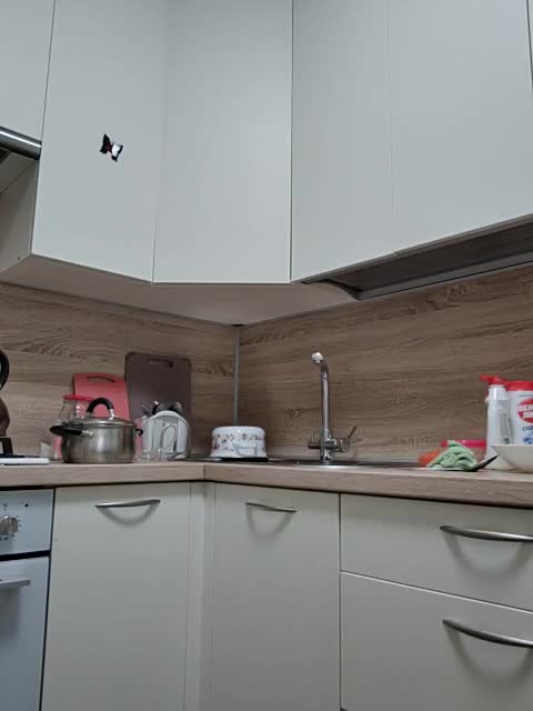 View or download file alinka1979 on 2023-11-01 from bongacams