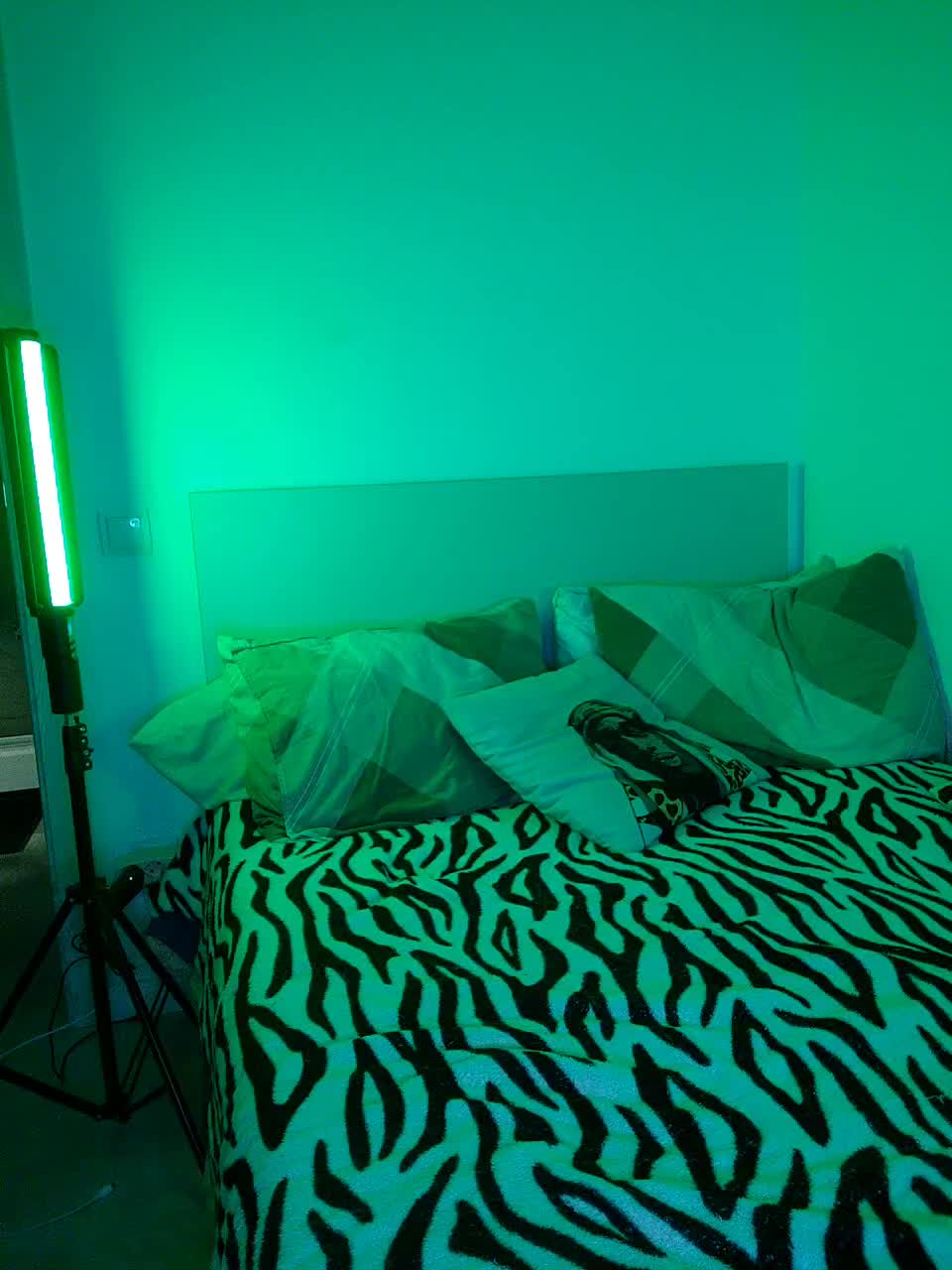 View or download file duostars1 on 2023-11-01 from bongacams