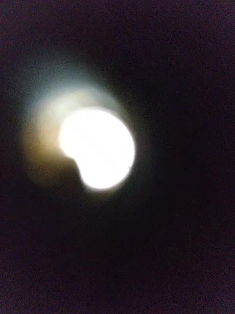 View or download file kitsune_alice on 2023-11-01 from bongacams