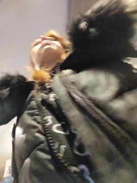 View or download file kitsune_alice on 2023-11-01 from bongacams