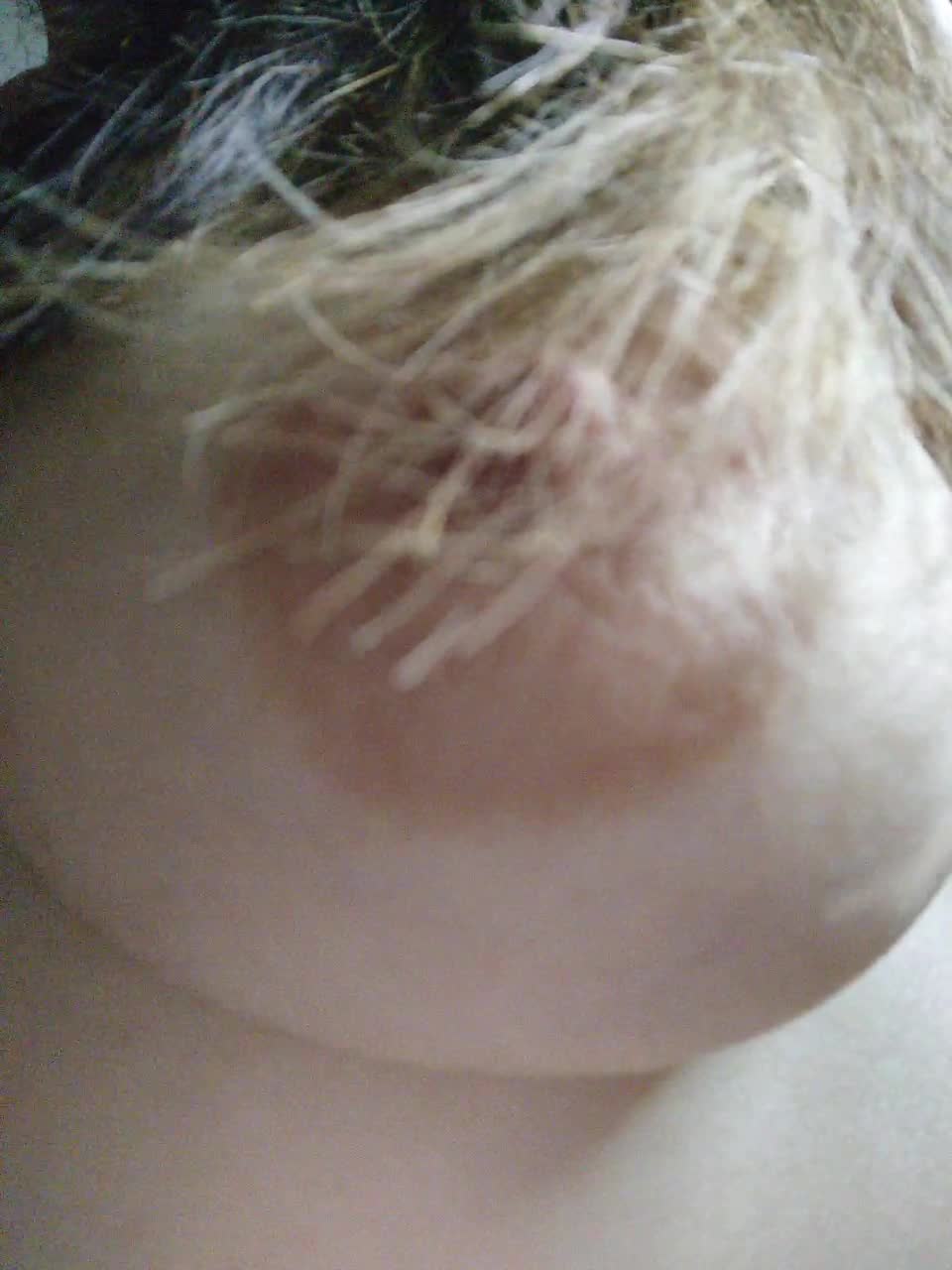 View or download file lalili on 2023-11-01 from bongacams