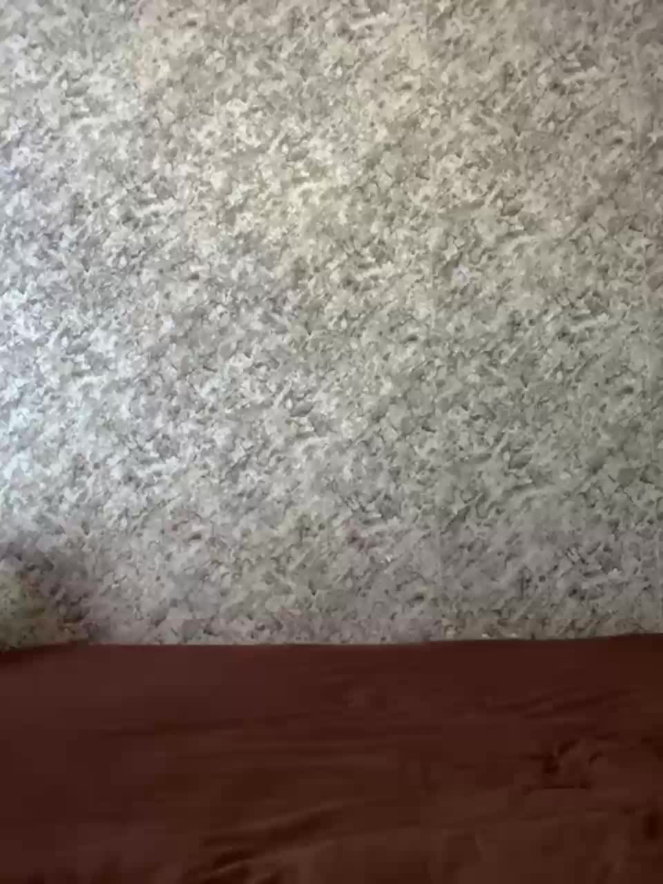 View or download file vii_vii_vii on 2023-11-02 from bongacams