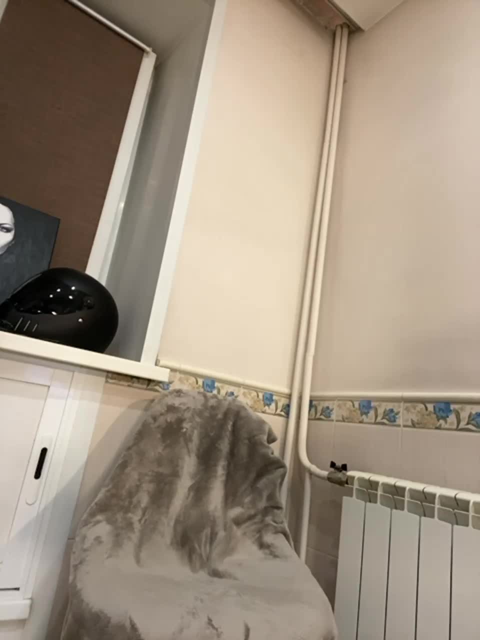 View or download file darksbunnys on 2023-11-03 from bongacams