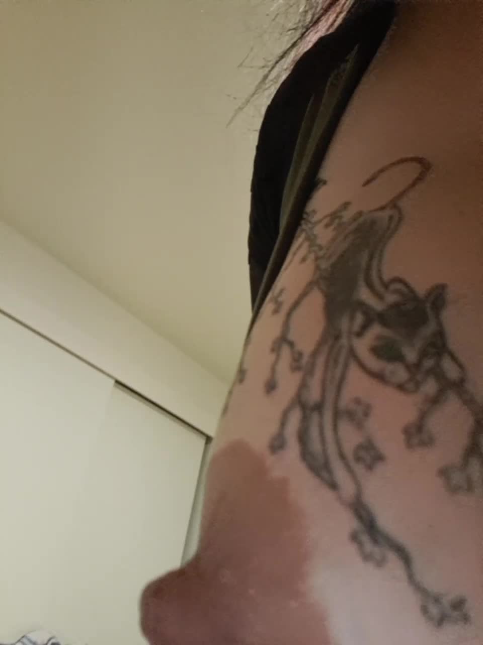 View or download file koks69a on 2023-11-04 from bongacams