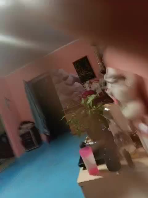 View or download file lisavsvolk on 2023-11-06 from bongacams