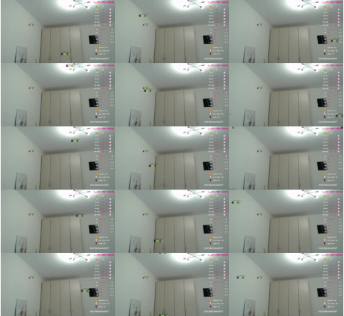 View or download file princess_dia on 2023-11-06 from bongacams