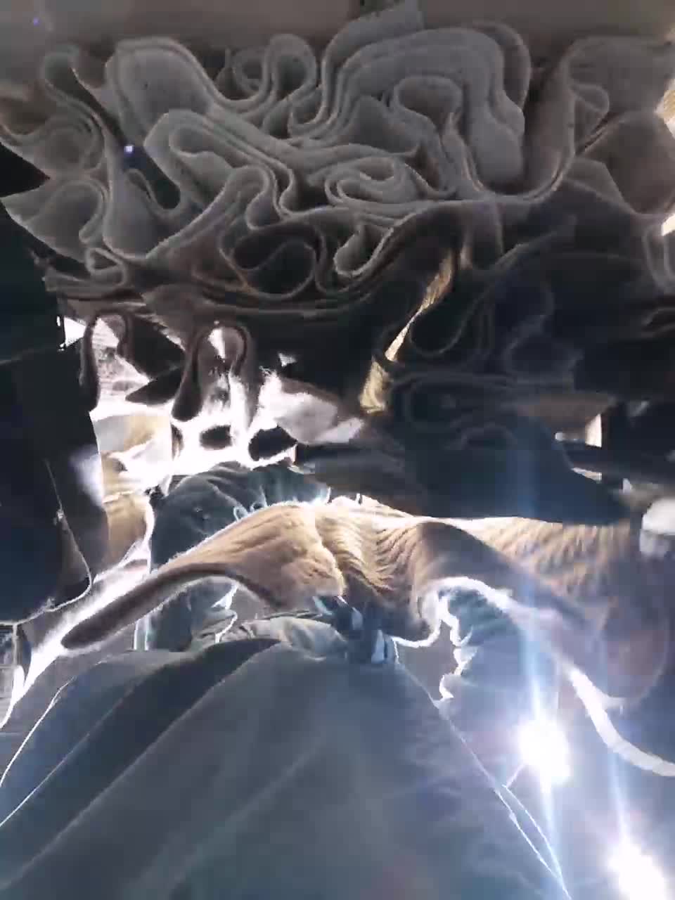 View or download file zlatalata on 2023-11-06 from bongacams