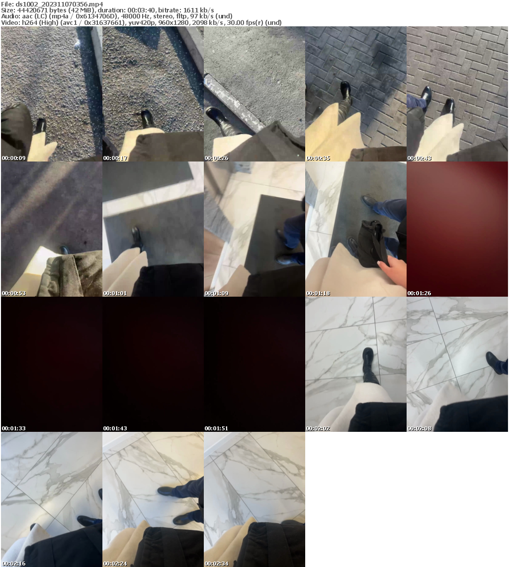 Preview thumb from ds1002 on 2023-11-07 @ bongacams