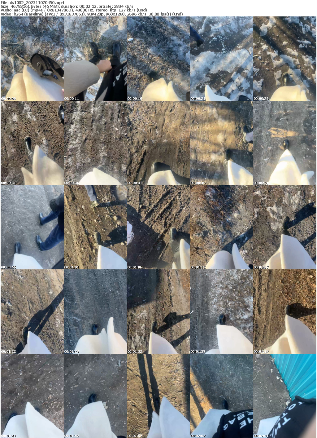 Preview thumb from ds1002 on 2023-11-07 @ bongacams