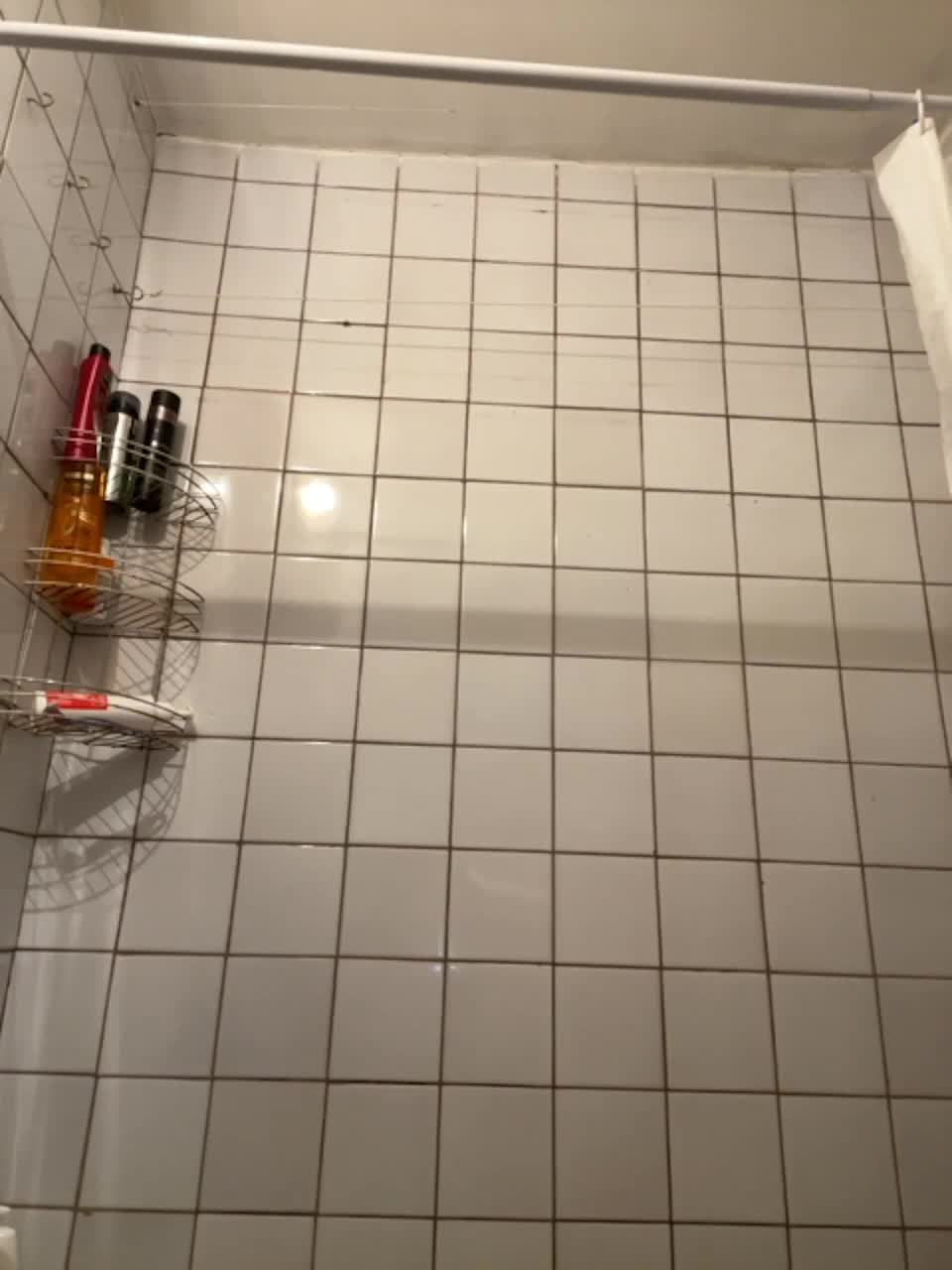 View or download file milkssweeet on 2023-11-07 from bongacams