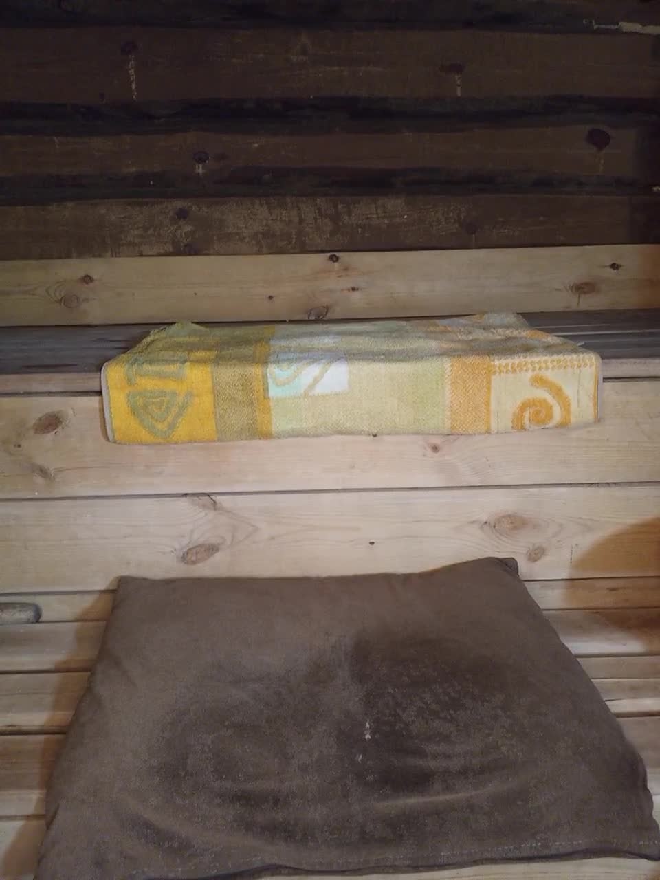 View or download file mussypussy222 on 2023-11-12 from bongacams