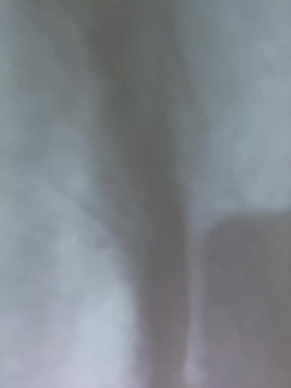 View or download file nicoledaniell on 2023-11-12 from bongacams