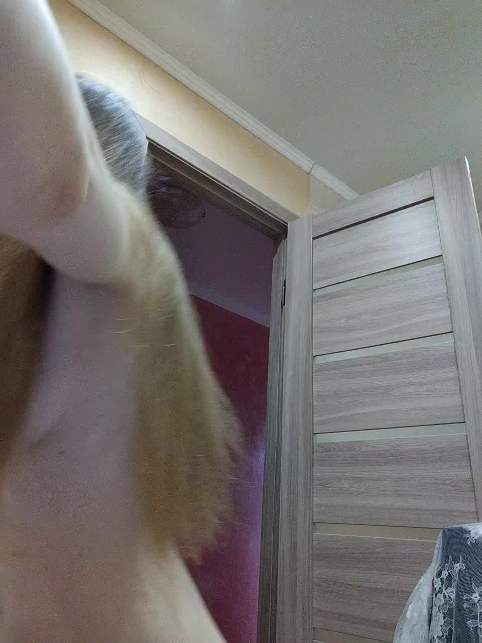 View or download file sweetkarinaa on 2023-11-12 from bongacams