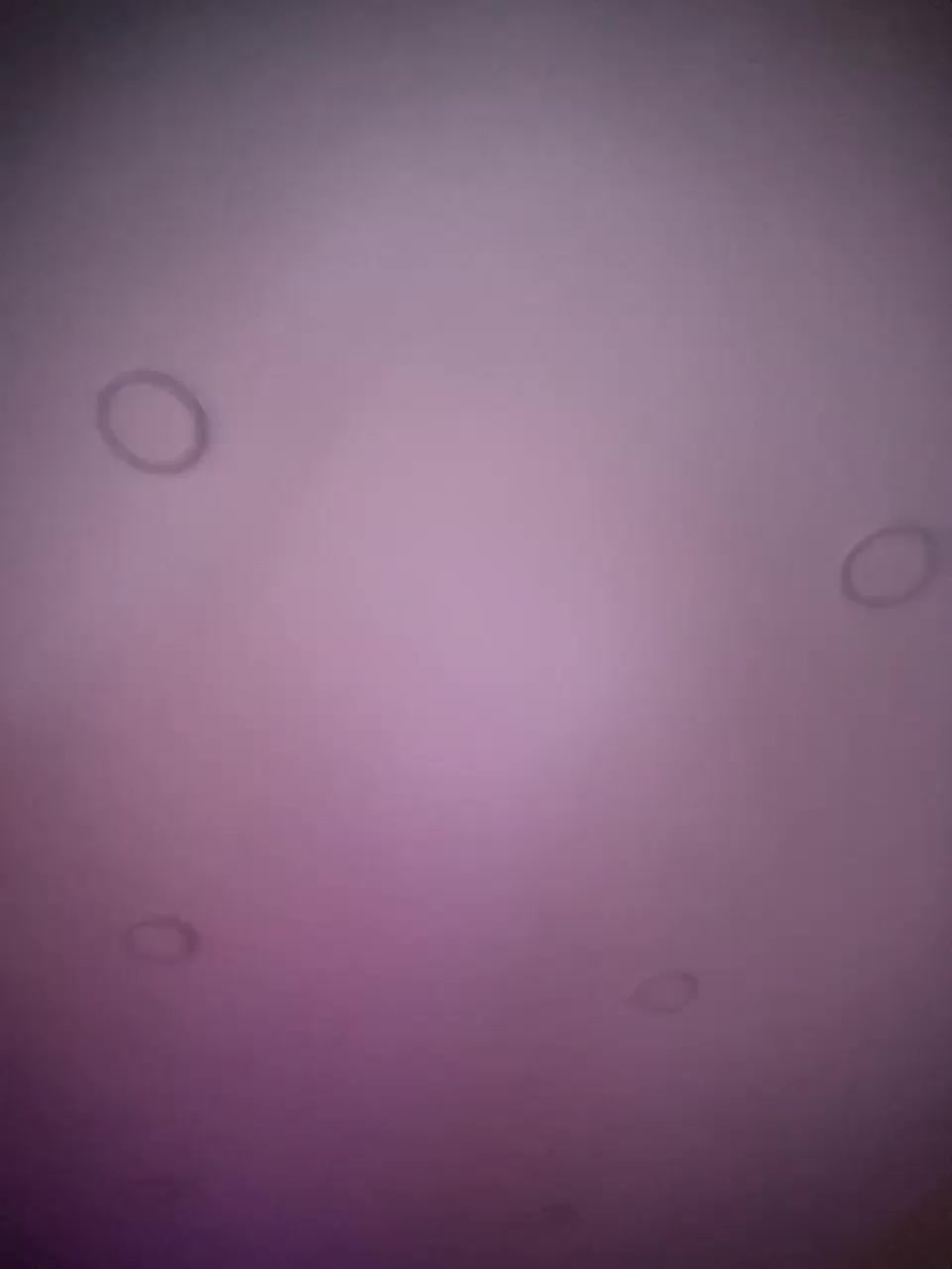 View or download file damkiky on 2023-11-13 from bongacams