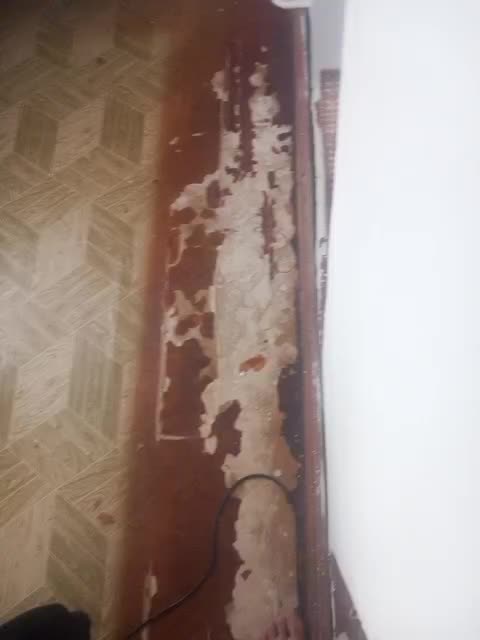 View or download file merri228 on 2023-11-14 from bongacams