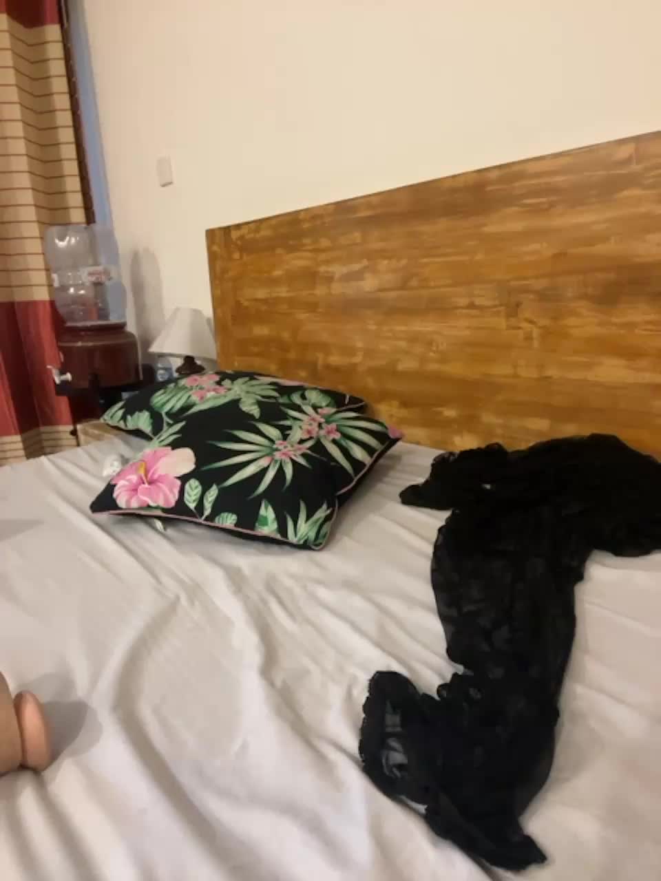 View or download file merrybelli on 2023-11-14 from bongacams