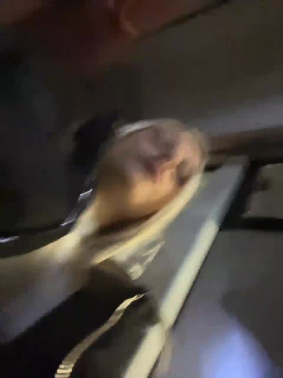 View or download file prettykatea on 2023-11-16 from bongacams