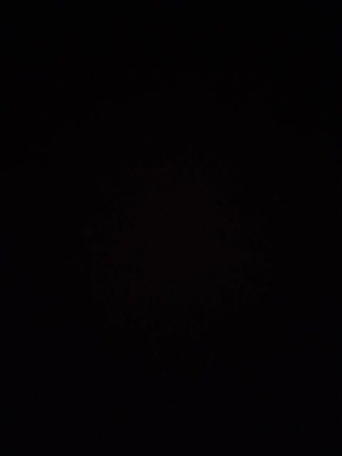 View or download file sexangelss on 2023-11-22 from bongacams