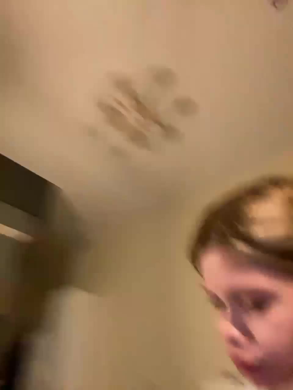 View or download file chansetolove on 2023-11-25 from bongacams