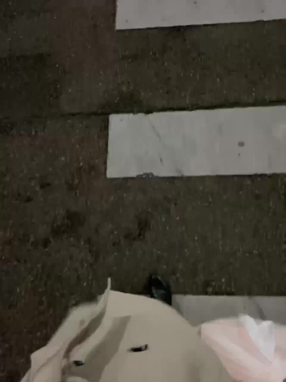 View or download file divora on 2023-11-25 from bongacams