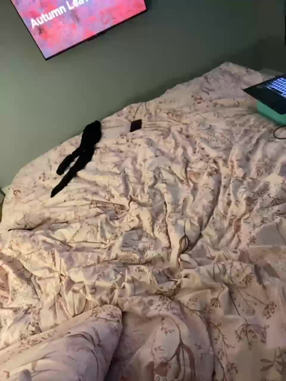 View or download file milaa1998 on 2023-11-25 from bongacams